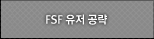 FS 유저 공략